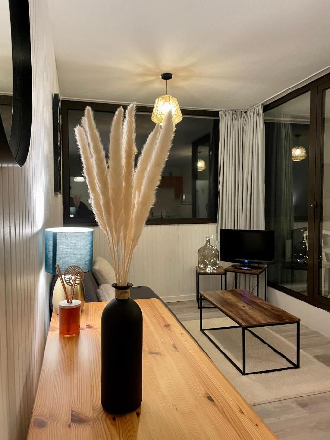 Appartement Au Coeur De La Station De Super-Besse ภายนอก รูปภาพ